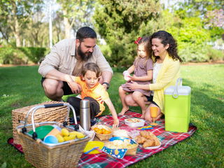 International Picnic Day